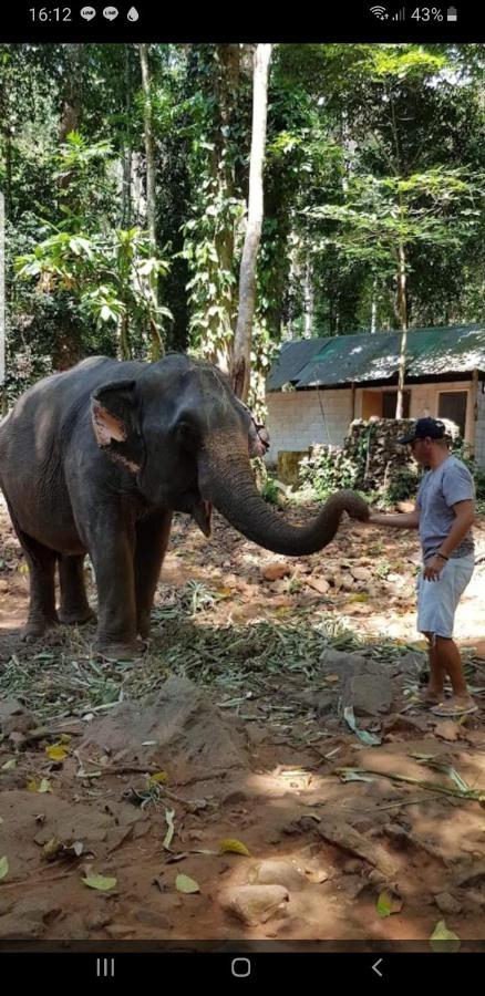 Cocoon Koh Chang Bagian luar foto